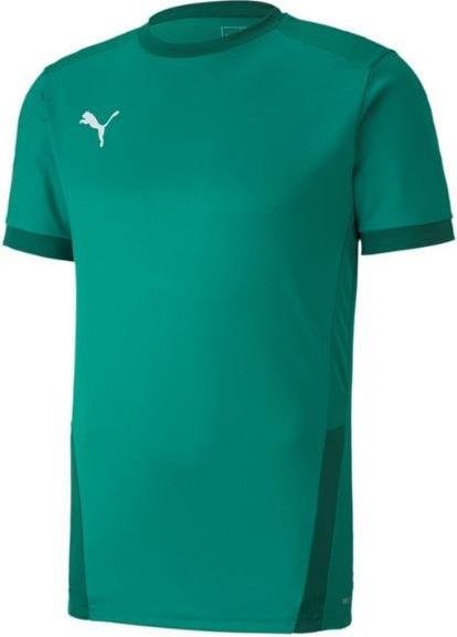 Camisa Puma teamGOAL 23 Jersey Jr