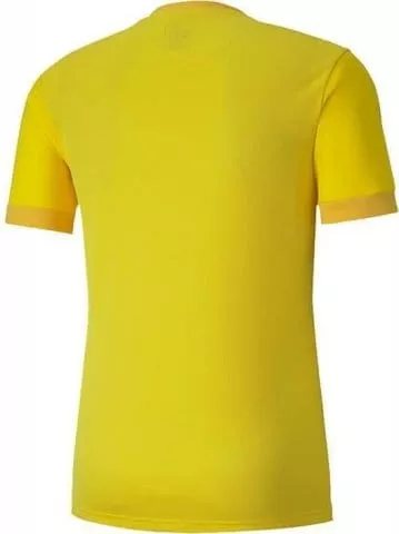 Camisa Puma teamGOAL 23 Jersey Jr