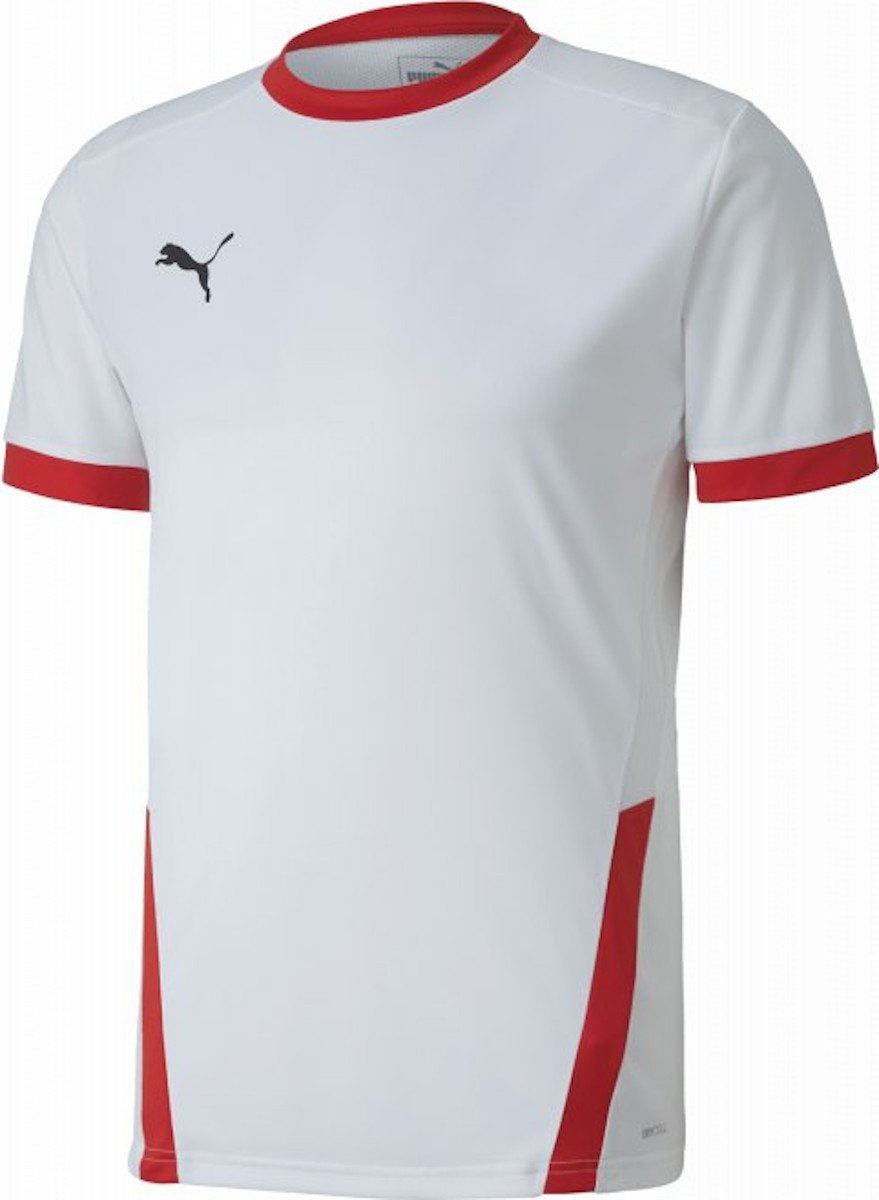 Риза Puma teamGOAL 23 JSY