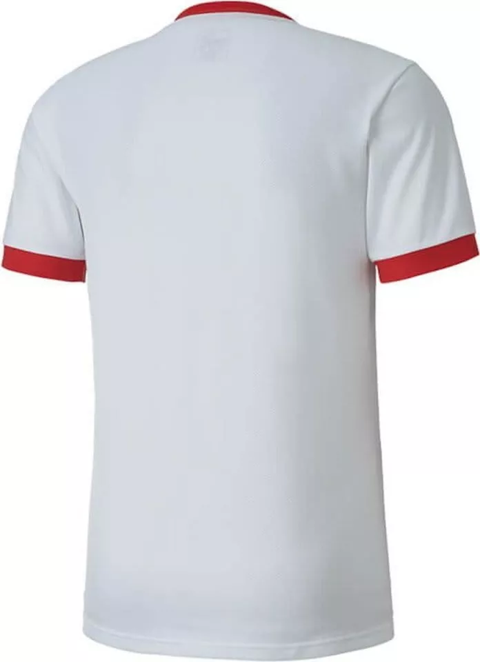 Maglia Puma teamGOAL 23 JSY