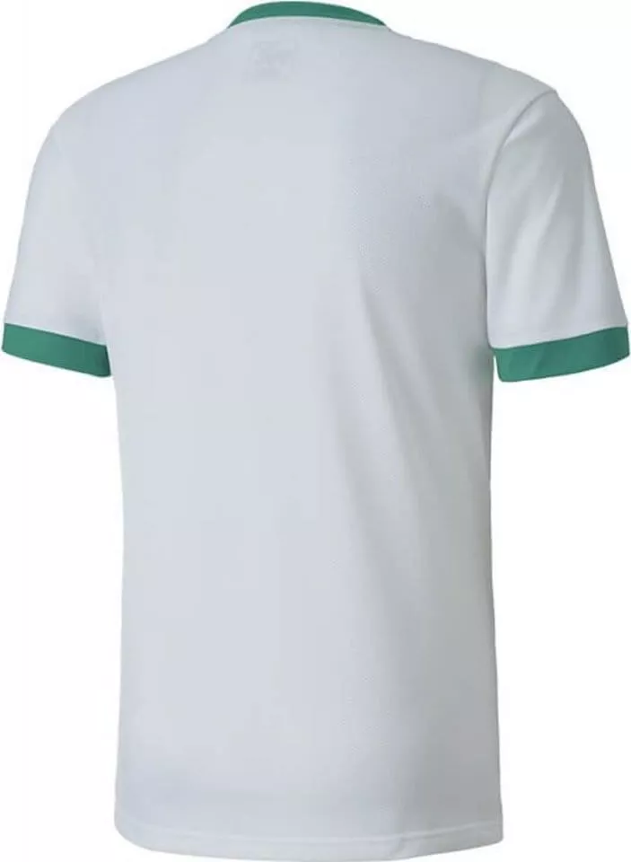 Bluza Puma teamGOAL 23 JSY