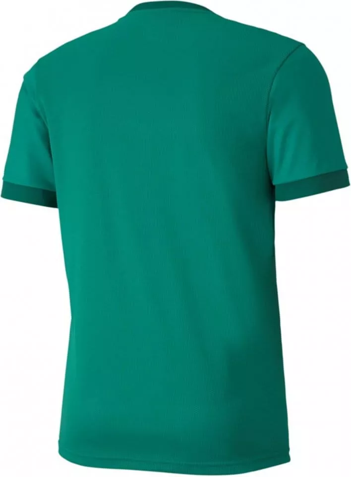 Camisa Puma teamGOAL 23 JSY