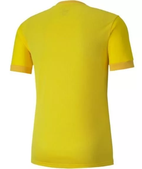 Pánský fotbalový dres s krátkým rukávem Puma teamGOAL 23