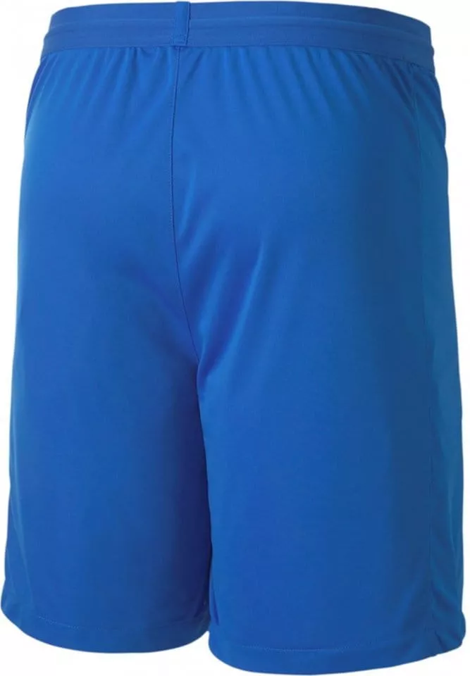 Korte broeken Puma teamFINAL 21 knit Shorts