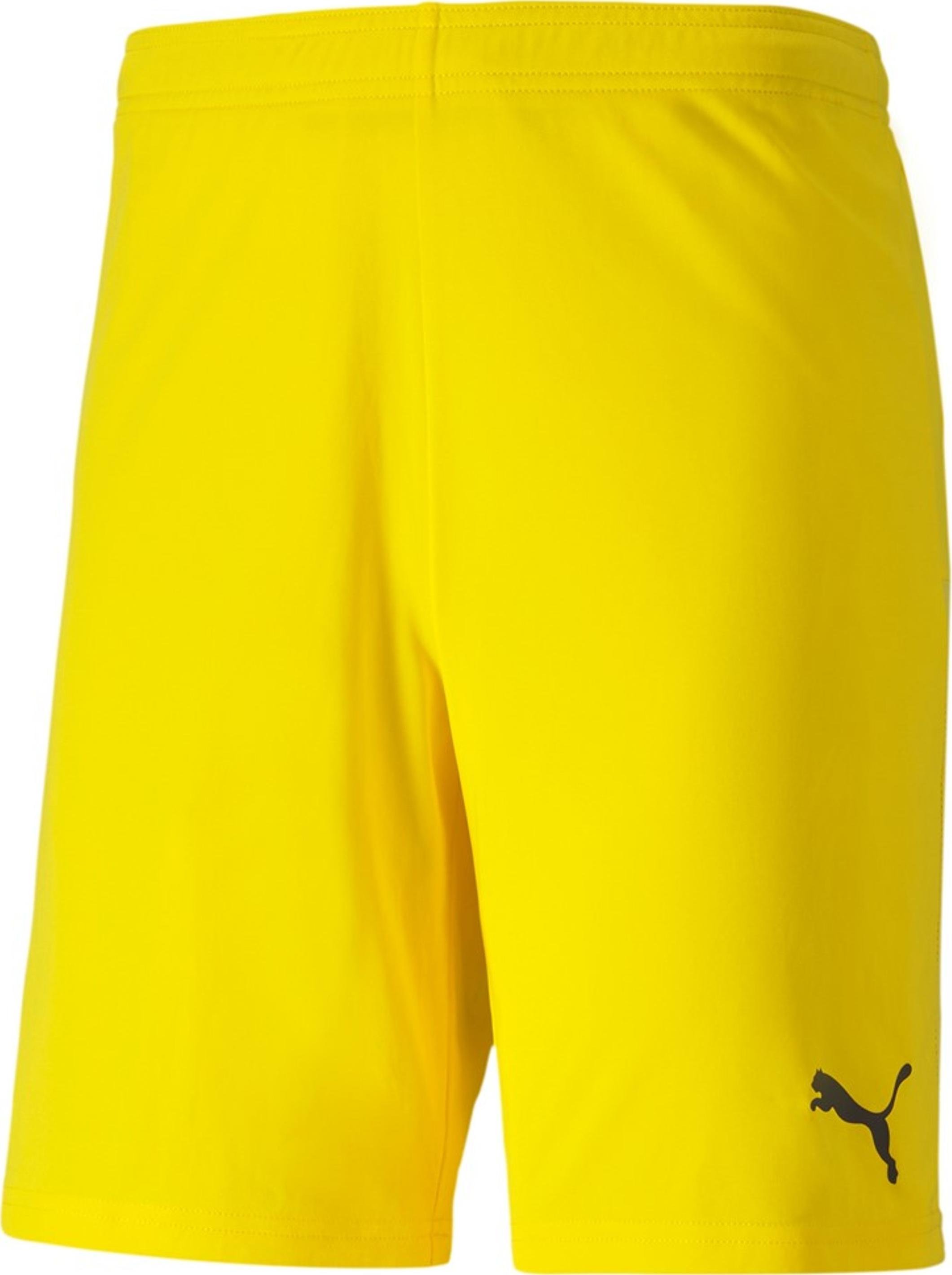 Calções Puma teamGOAL 23 knit Shorts