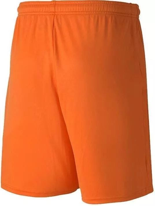 Calções Puma teamGOAL 23 knit Shorts