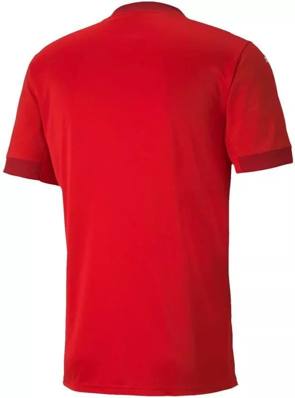 Bluza Puma teamFINAL 21 Jersey Jr