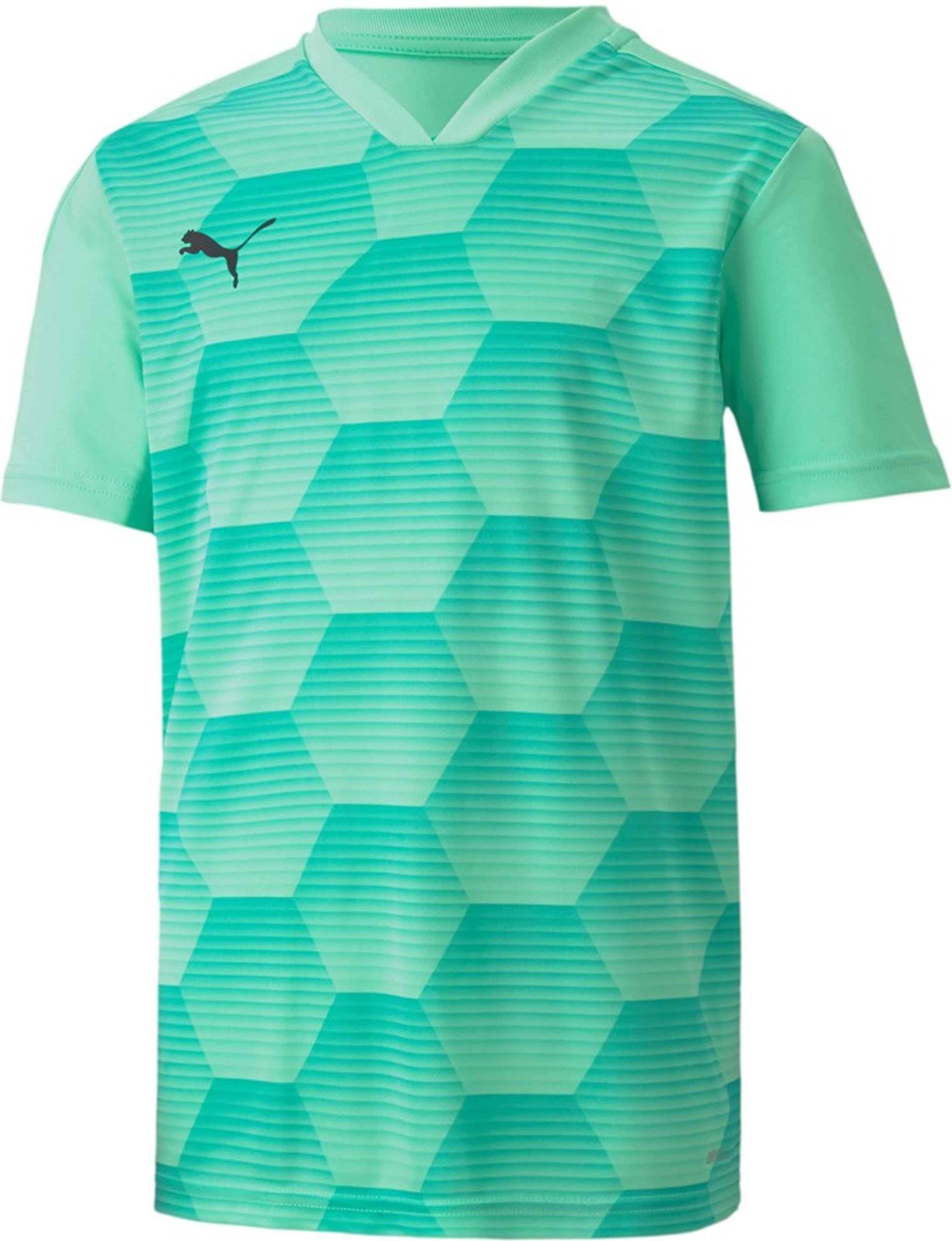 Puma teamFINAL 21 Graphic Jersey Jr Póló