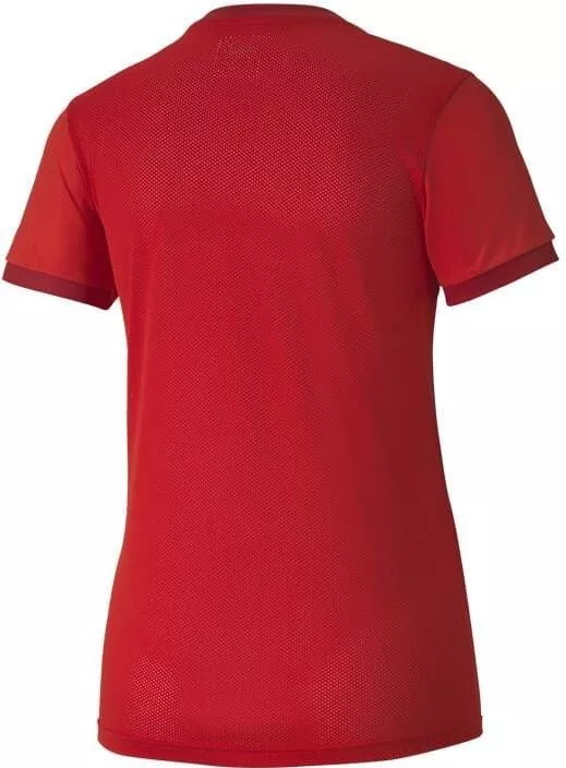 Camiseta Puma teamGOAL 23 Jersey W