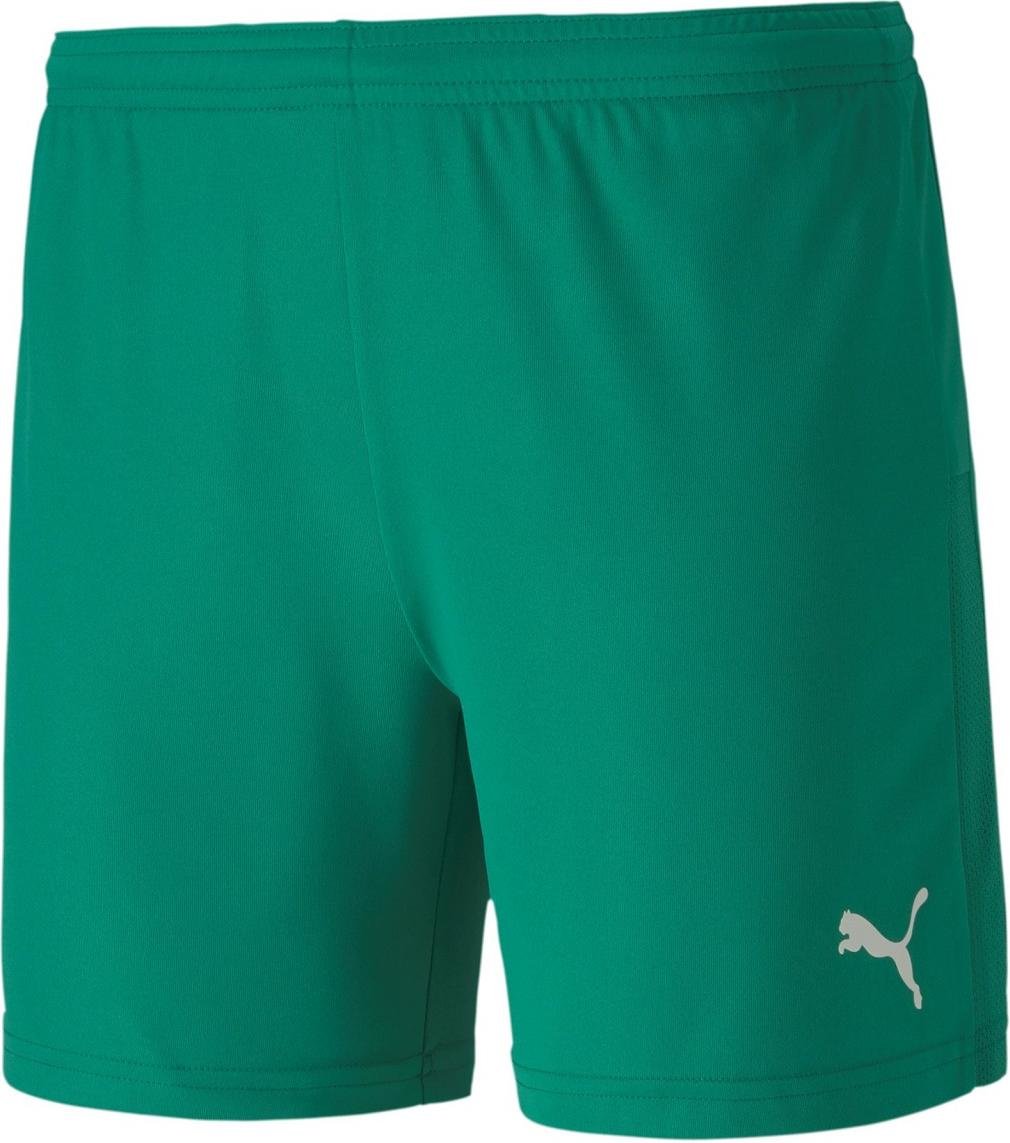 Calções Puma teamGOAL 23 knit shorts