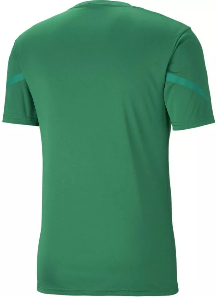 Bluza Puma teamFLASH Jersey