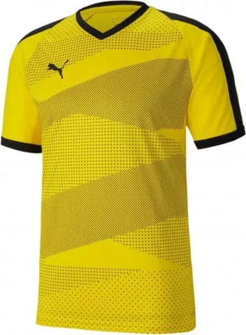 Camisa Puma teamFINAL Indoor Jersey