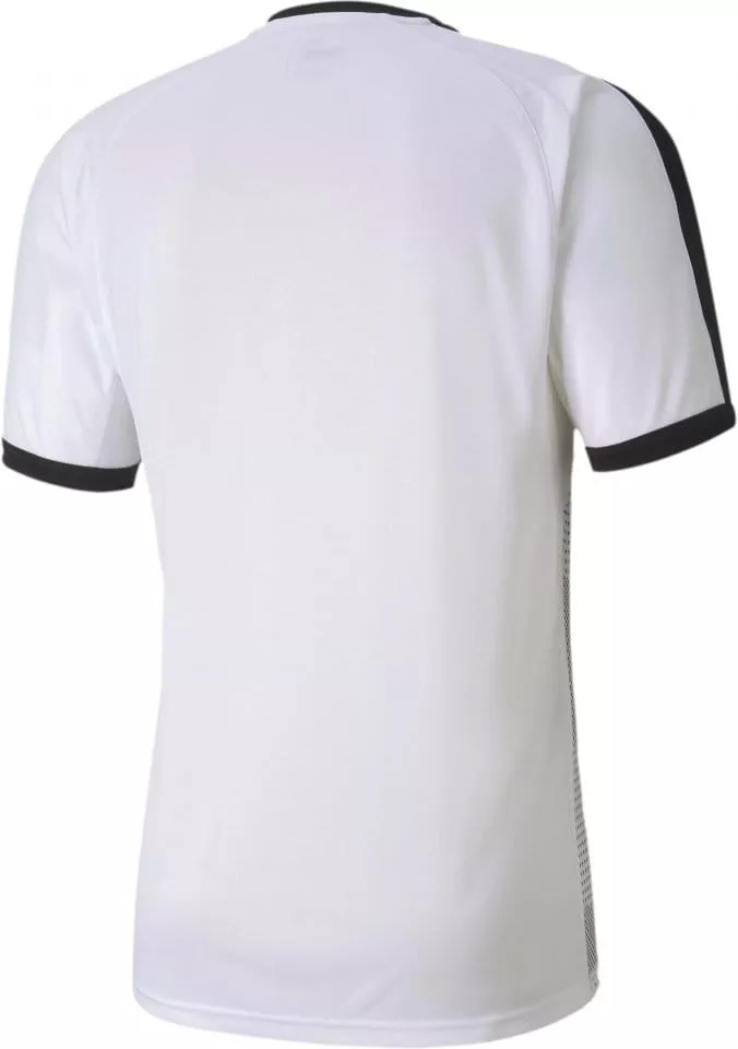 Camiseta Puma teamFINAL Indoor Jersey