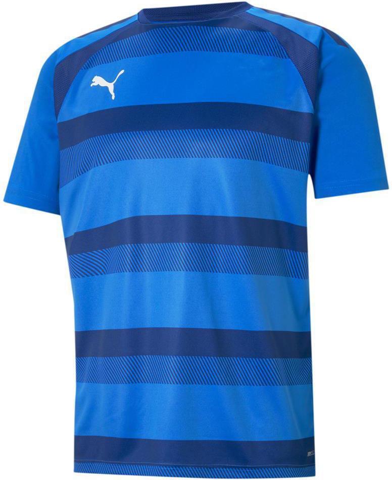 Camisa Puma teamVISION Jersey