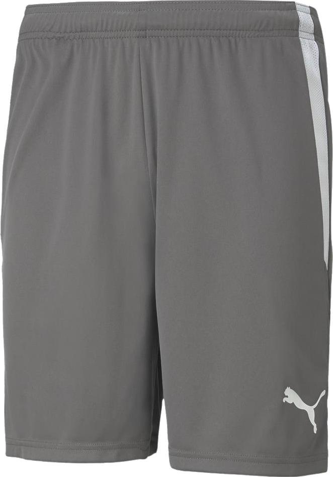 Calções Puma teamLIGA Shorts