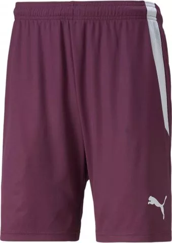 teamLIGA Shorts