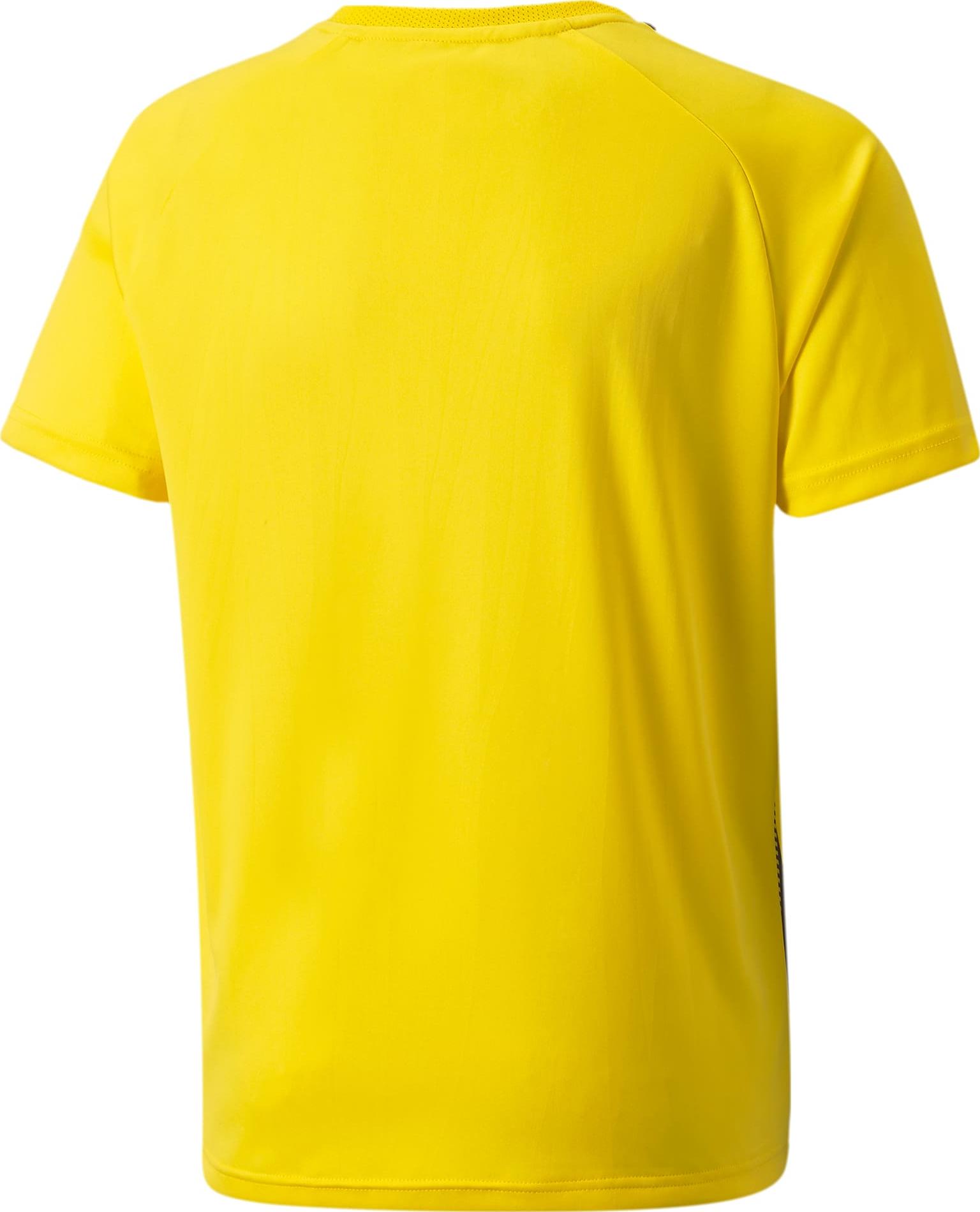 Puma teamLIGA Striped Jersey Jr Póló 