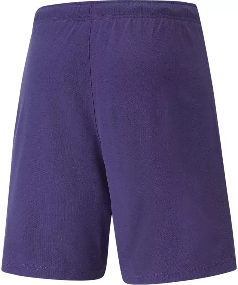 Calções Puma teamRISE Short