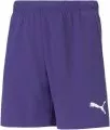 Purpurowy