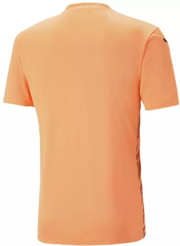 Camiseta Puma teamULTIMATE Jersey