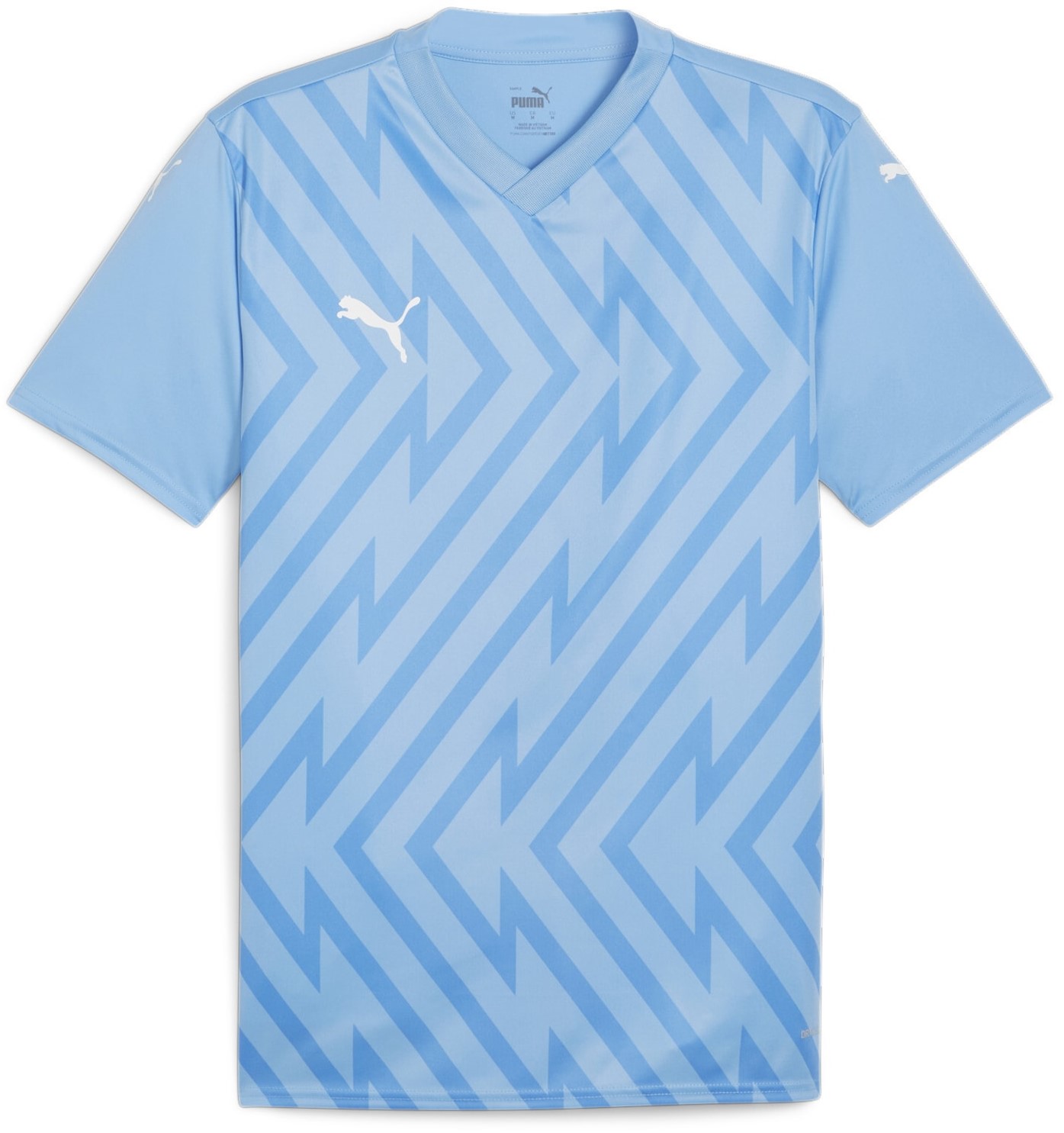 Bluza Puma teamGLORY Jersey