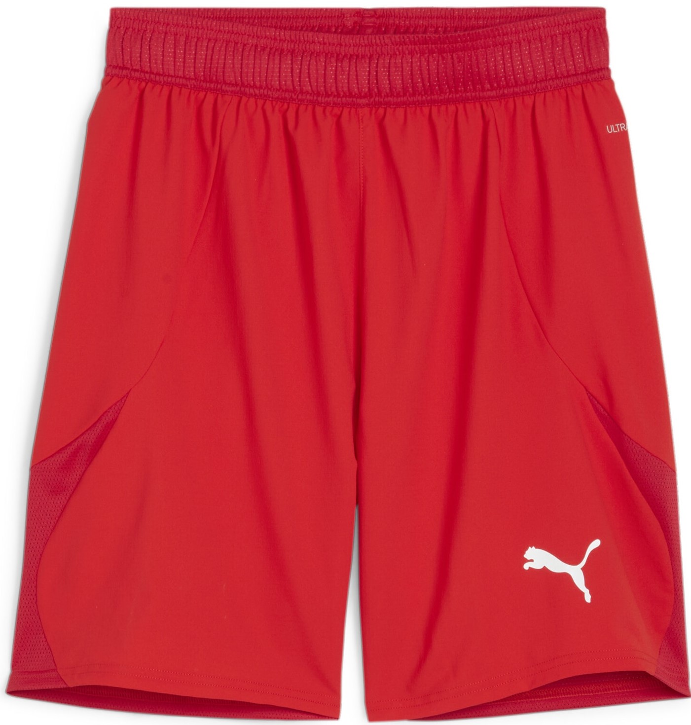 Korte broeken Puma teamFINAL Shorts