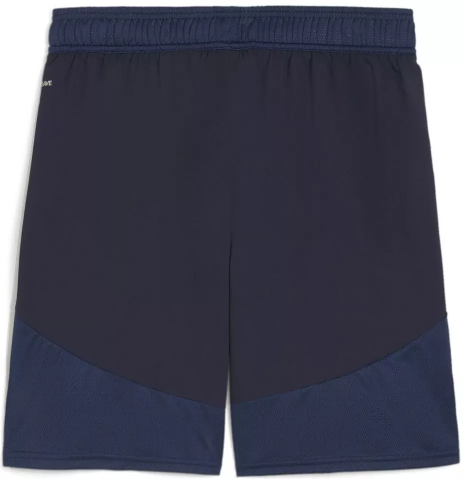 Šortky Puma teamFINAL Shorts