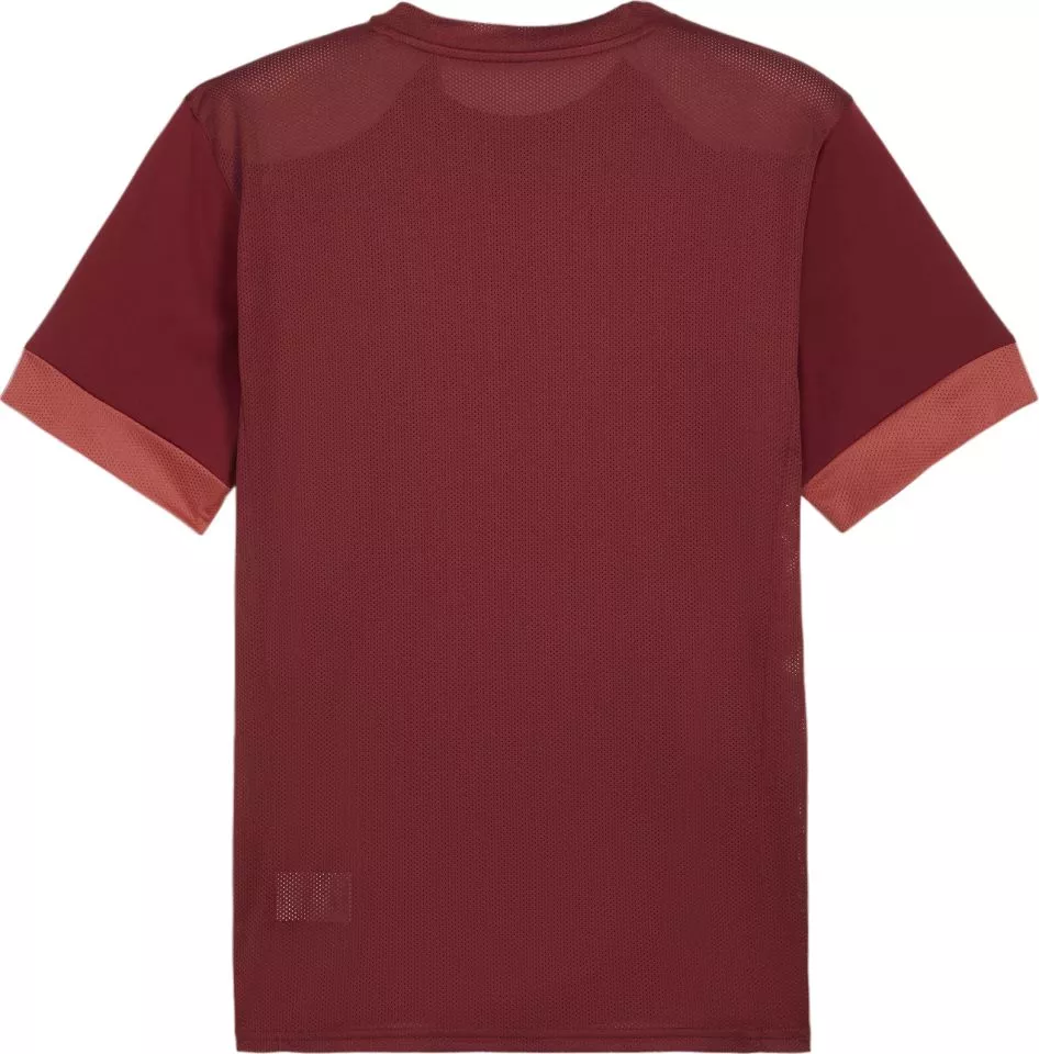 Tröja Puma teamGOAL Matchday Jersey