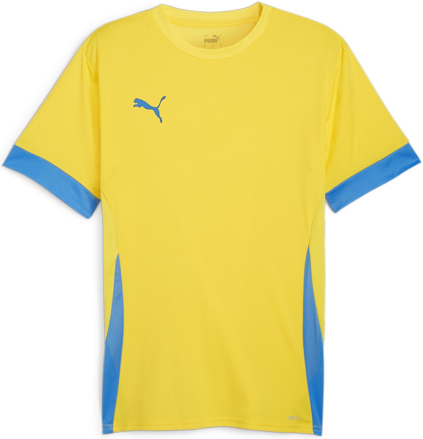 Camiseta Puma teamGOAL Matchday Jersey