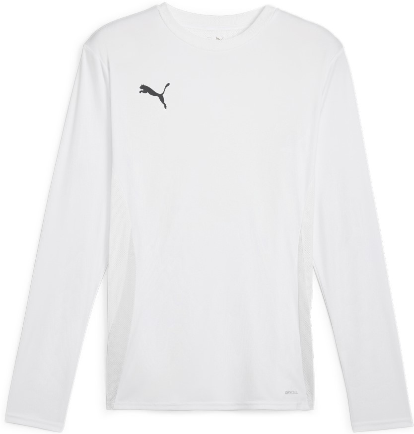 Koszulka z długim rękawem Puma teamGOAL Jersey LS M