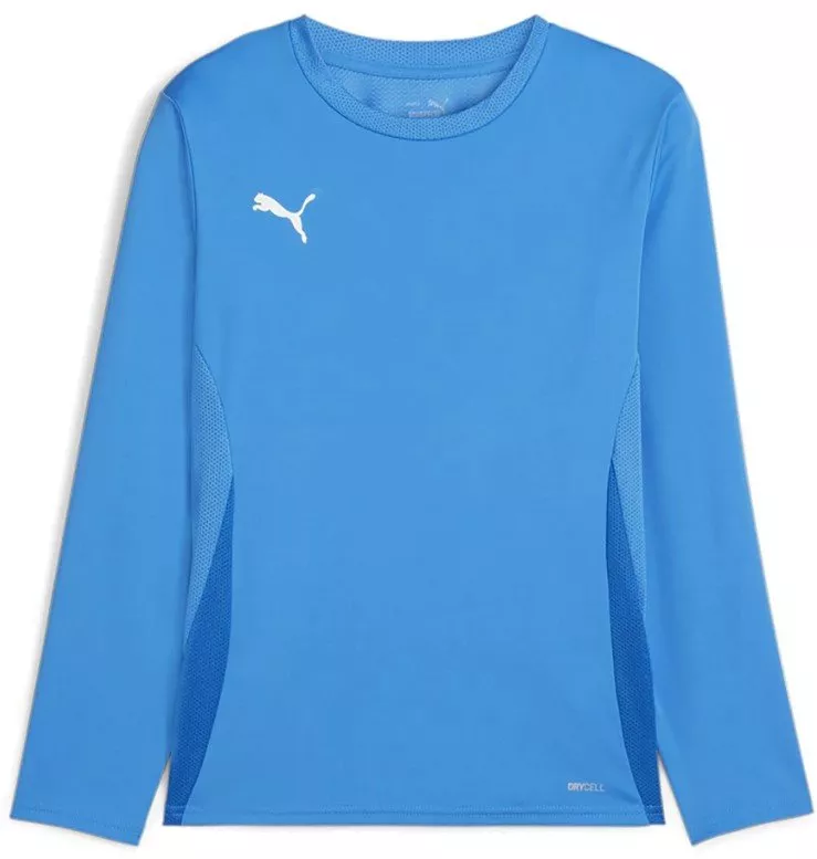 Puma teamGOAL LS Jersey Jr Hosszú ujjú mez
