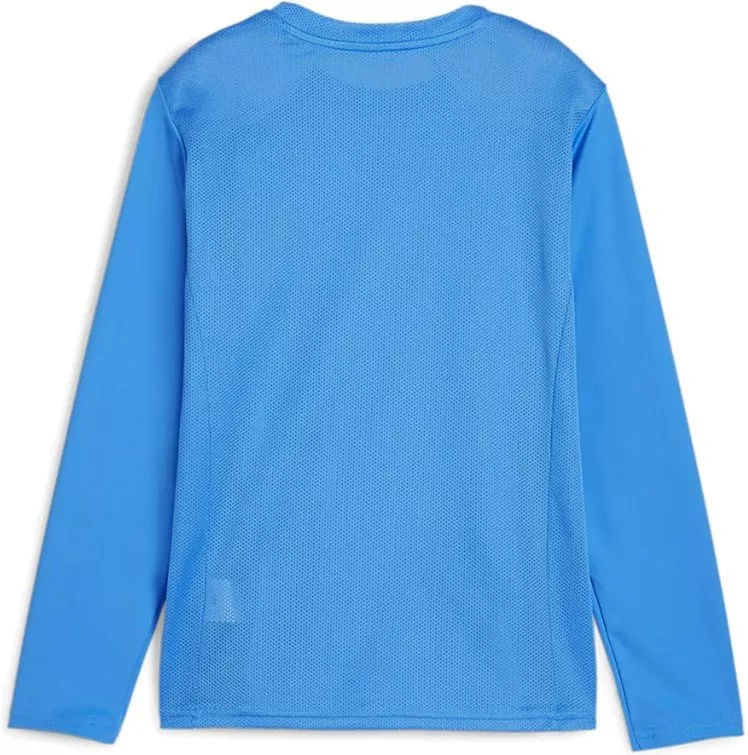 Puma teamGOAL LS Jersey Jr Hosszú ujjú mez