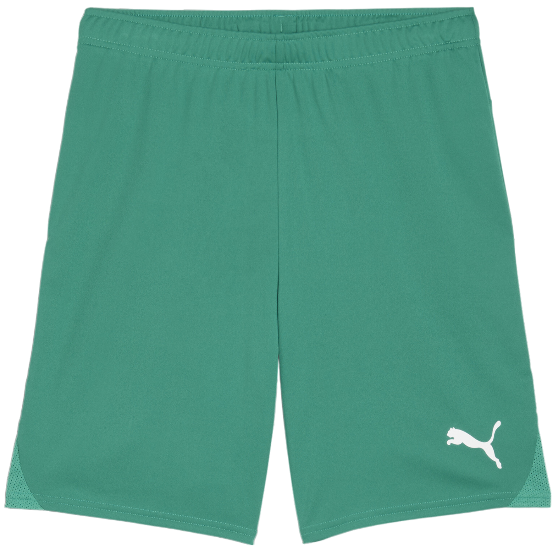 Puma teamGOAL Shorts