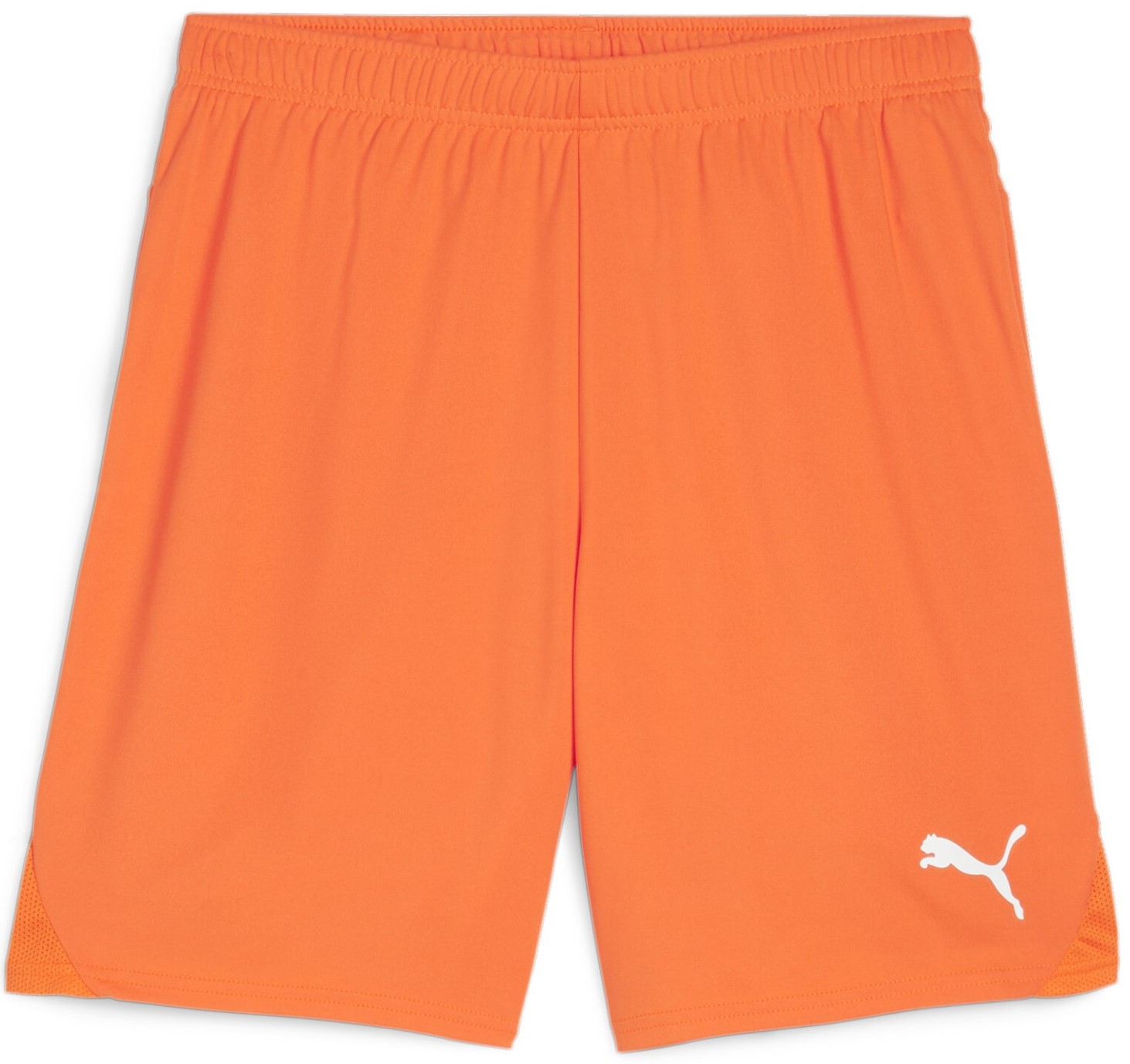 Sorturi Puma teamGOAL Shorts