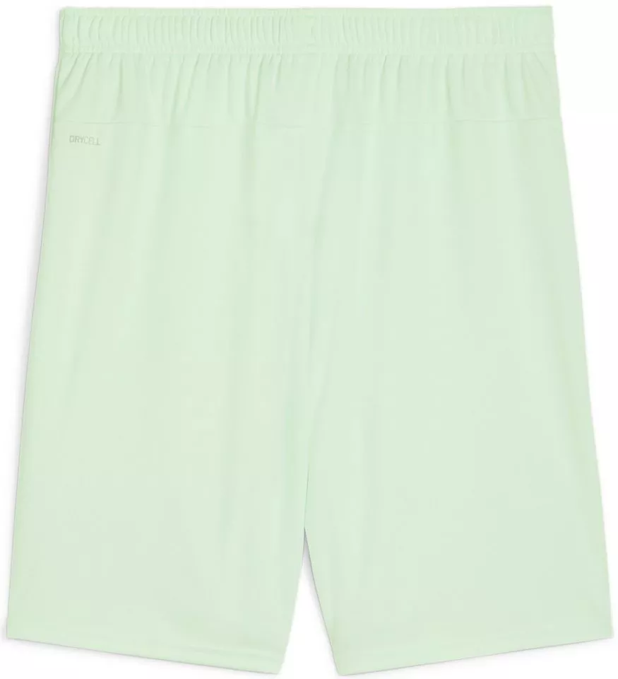 Puma teamGOAL Shorts