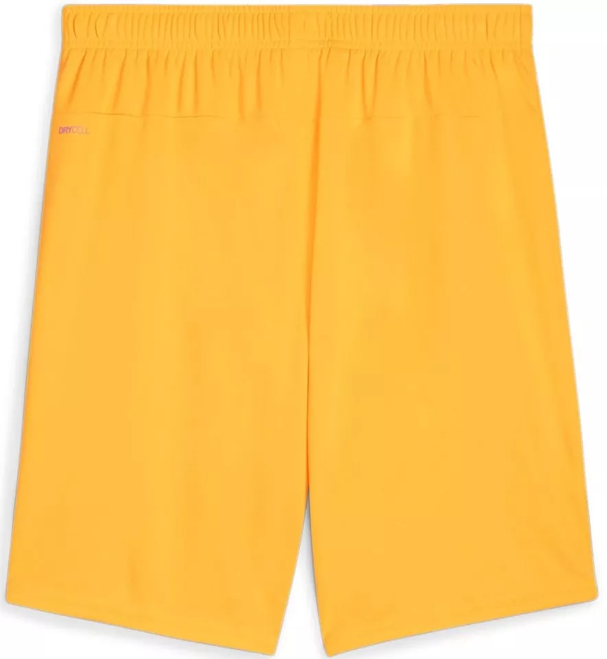 Calções Puma teamGOAL Shorts