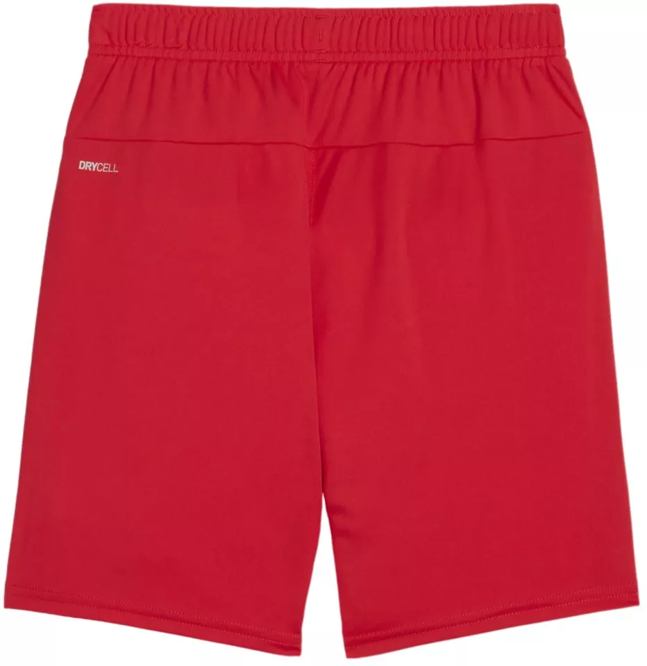 Puma teamGOAL Shorts Jr Rövidnadrág