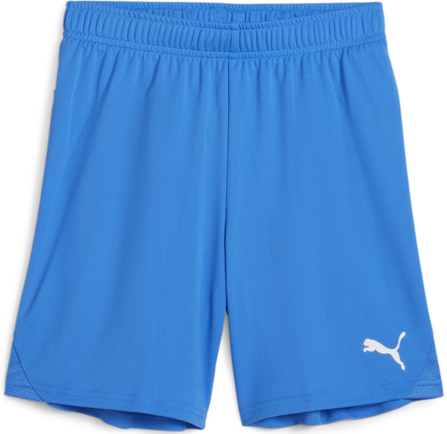 Sorturi Puma teamGOAL Shorts Jr