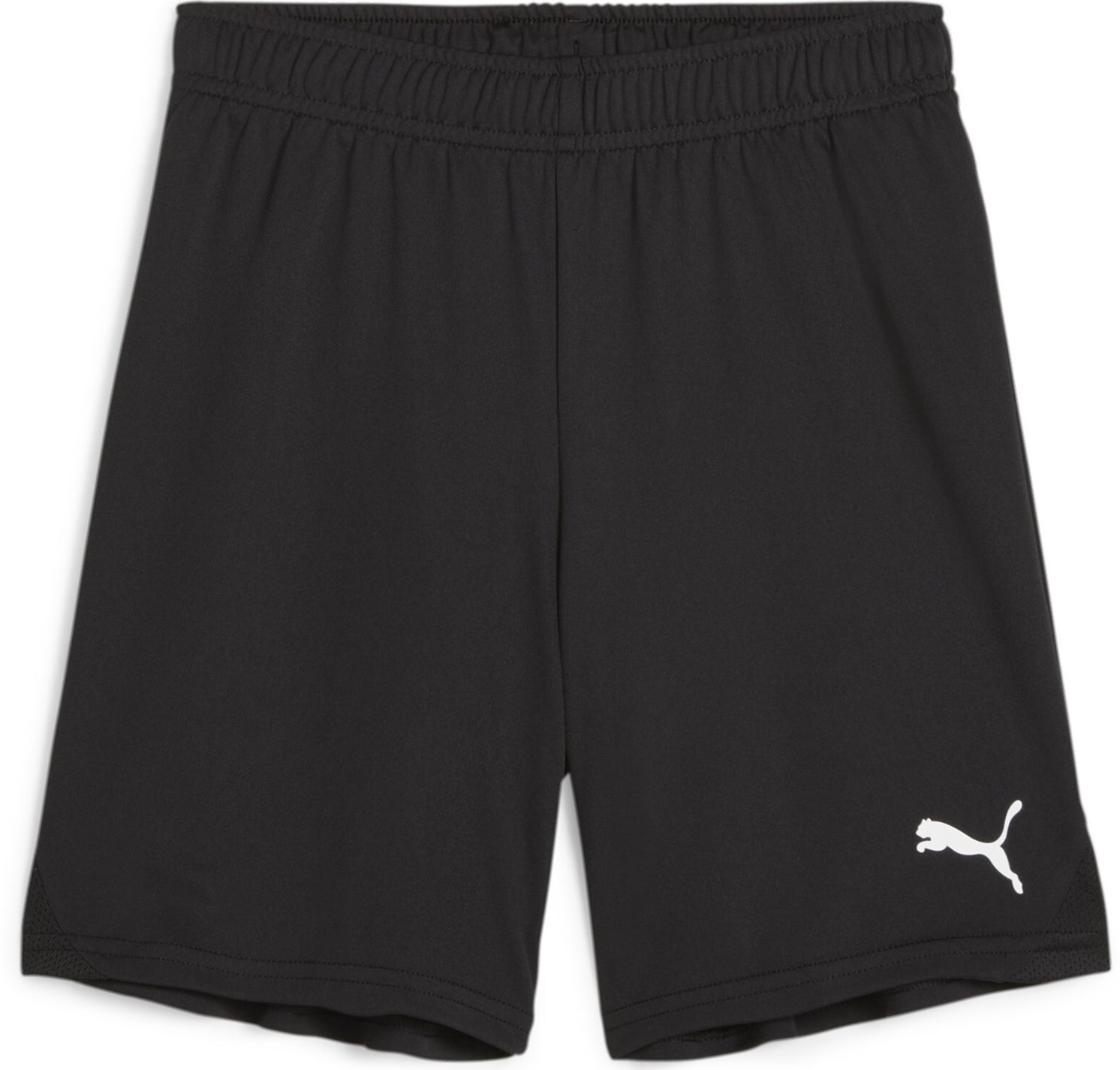 Calções Puma teamGOAL Shorts Jr