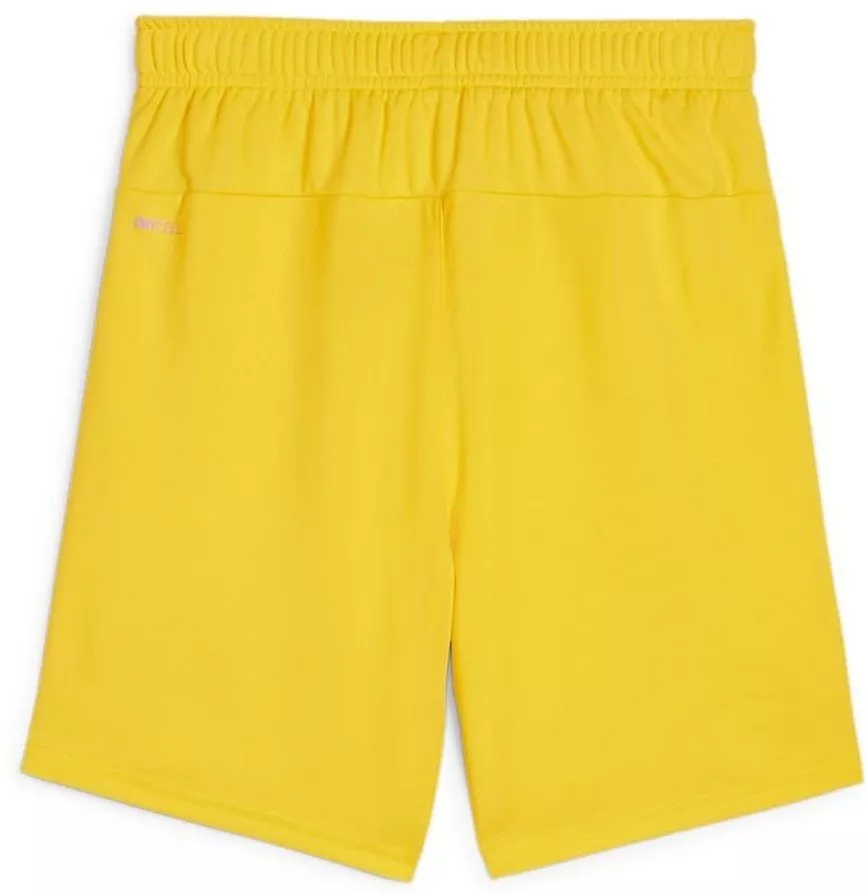 Puma  teamGOAL Short Jr Rövidnadrág
