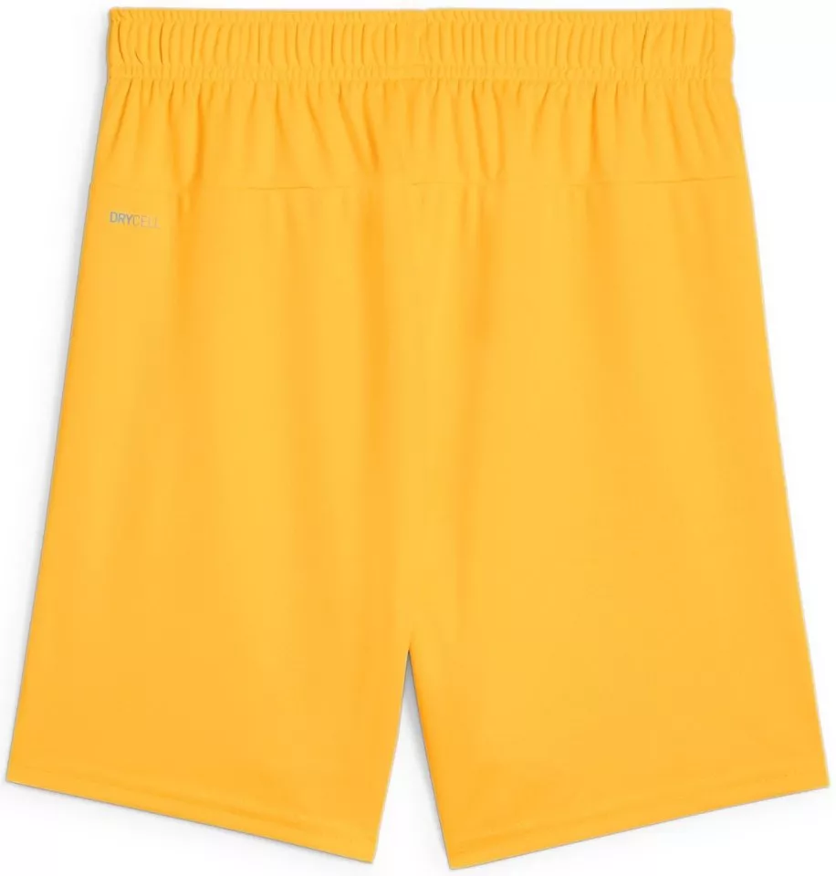 Korte broeken Puma teamGOAL Shorts Jr