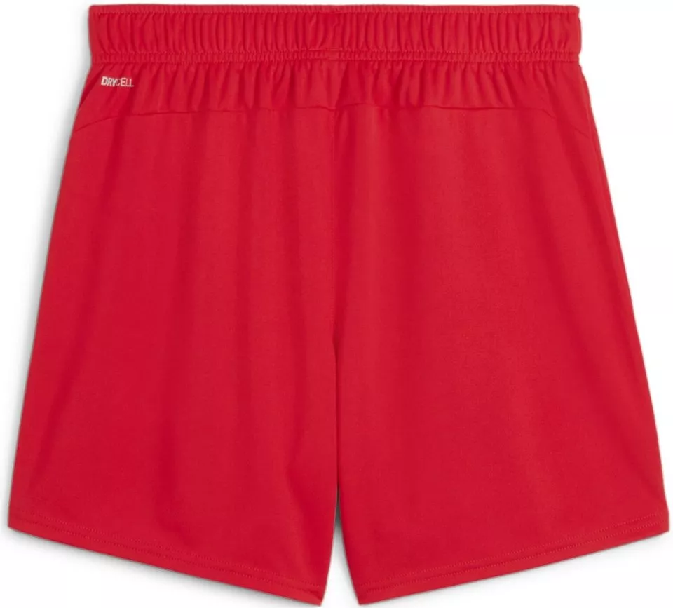 Calções Puma teamGOAL Shorts Wmns