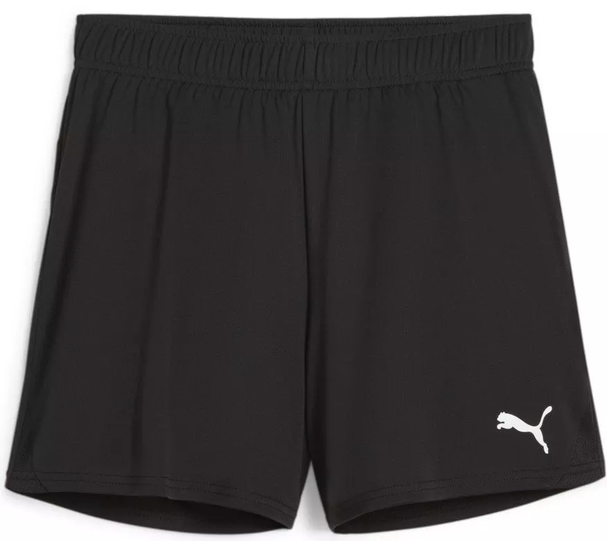 Σορτς Puma teamGOAL Handball Shorts W