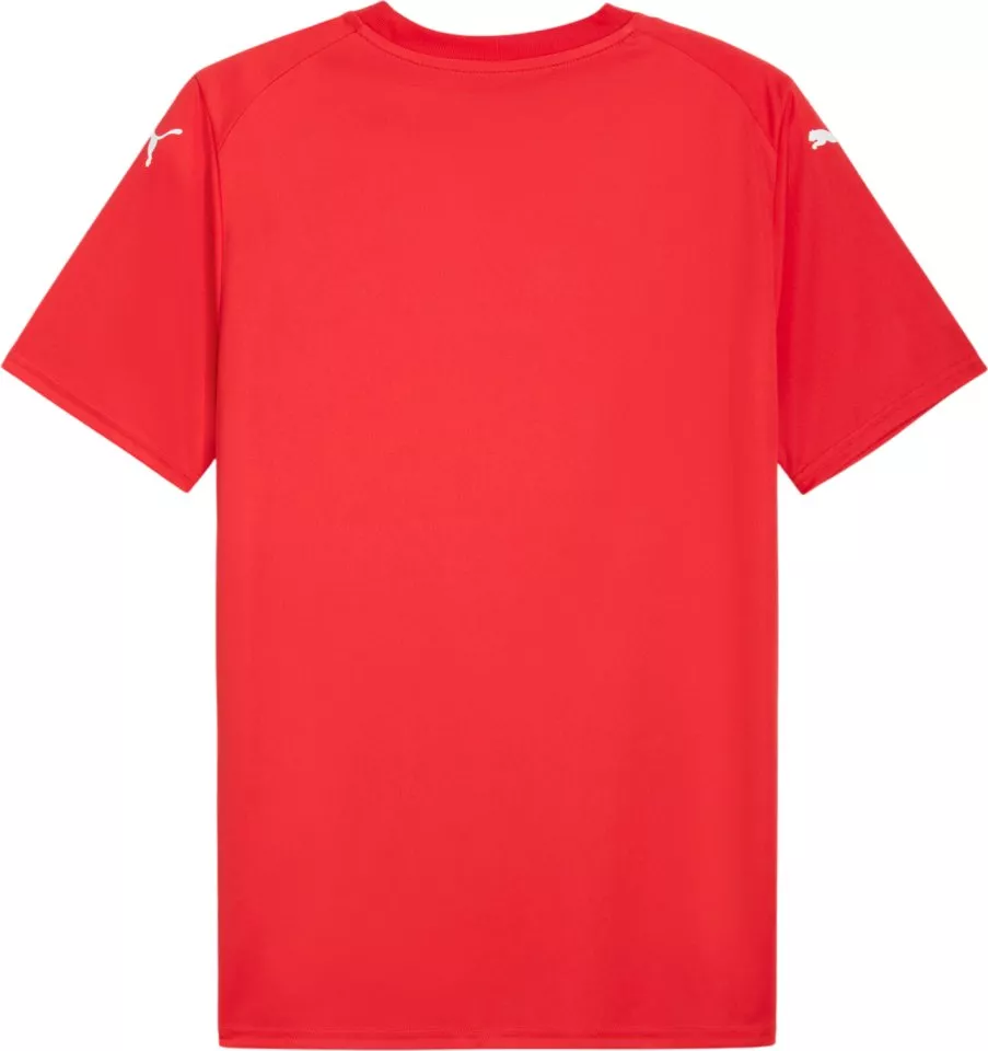 Puma teamFINAL Graphic Póló