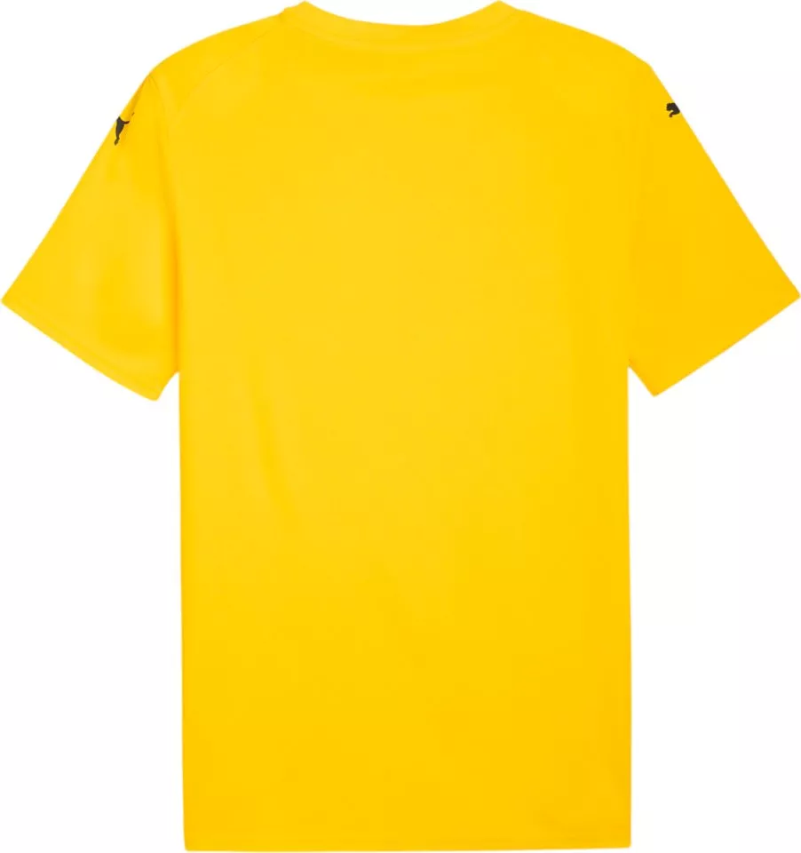 Риза Puma teamFINAL Graphic