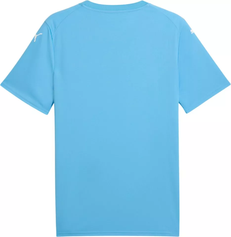 Camisa Puma teamFINAL Graphic