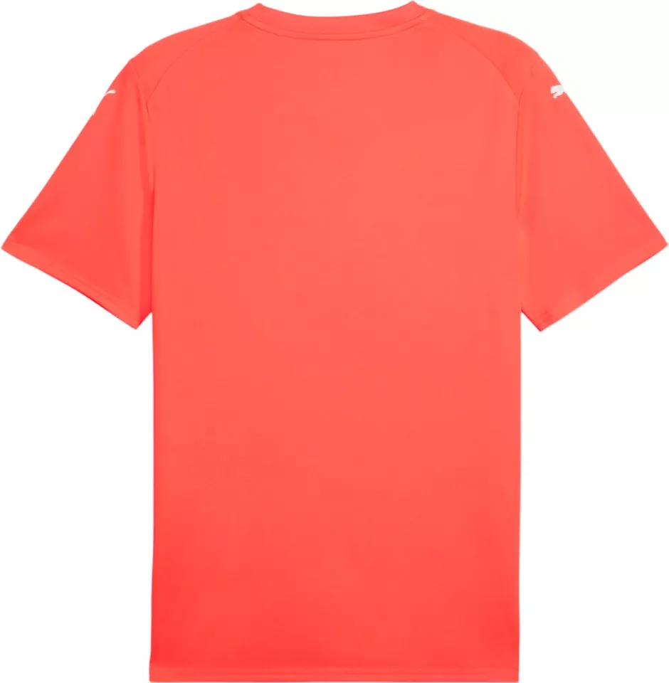 Dres Puma teamFINAL Graphic