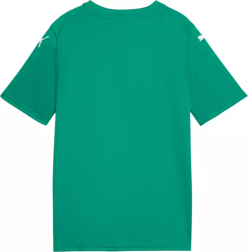 Bluza Puma teamFINAL Graphic