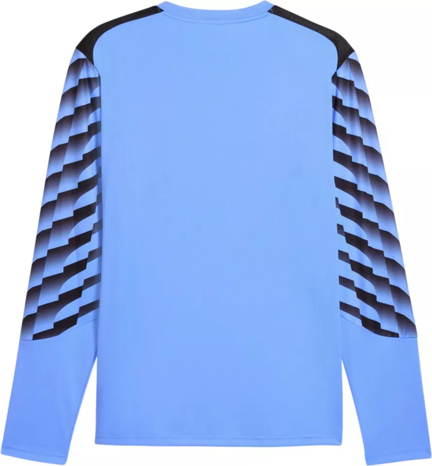 Dres z dolgimi rokavi Puma teamLIGA26 Goalkeeper Long Sleeve