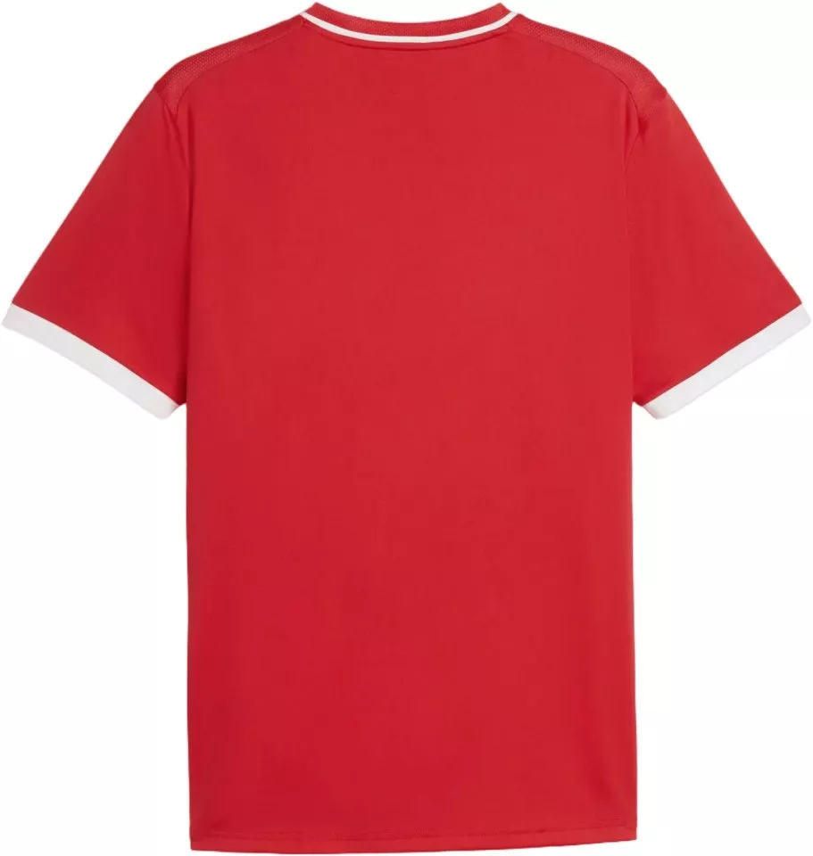 Ανδρική φανέλα με κοντό μανίκι Puma teamLIGA26 Striped